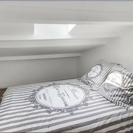 Appartement New Loft 2019 Old City/musee Picasso *